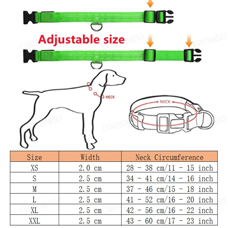LED Light Up Dog Collar