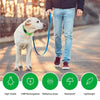 LED Light Up Dog Collar