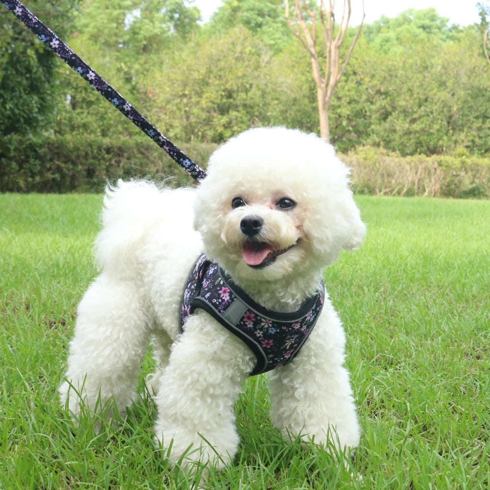 Dogs Adjustable Harness Leash Set for Small Dogs Harness Vest Reflective Puppy Chest Strap Pet Walking Outdoor Puppy Leash