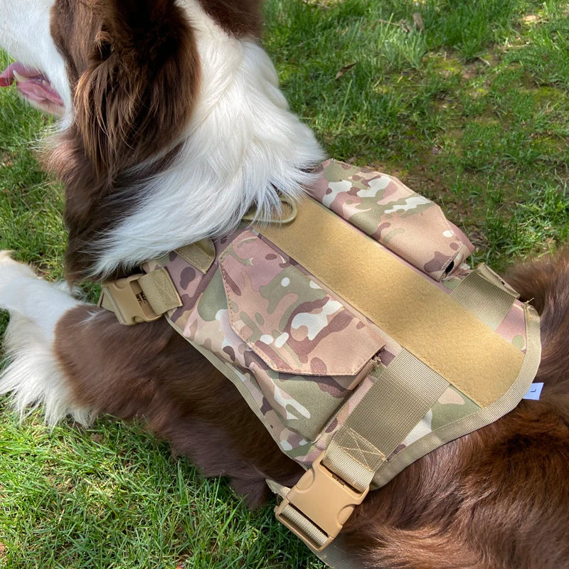 Reflective Large Dog Leash Elastic Double Pet Use Medium Cat Harness Tightness Small Cat Harness Set Tactical Vest Accessories