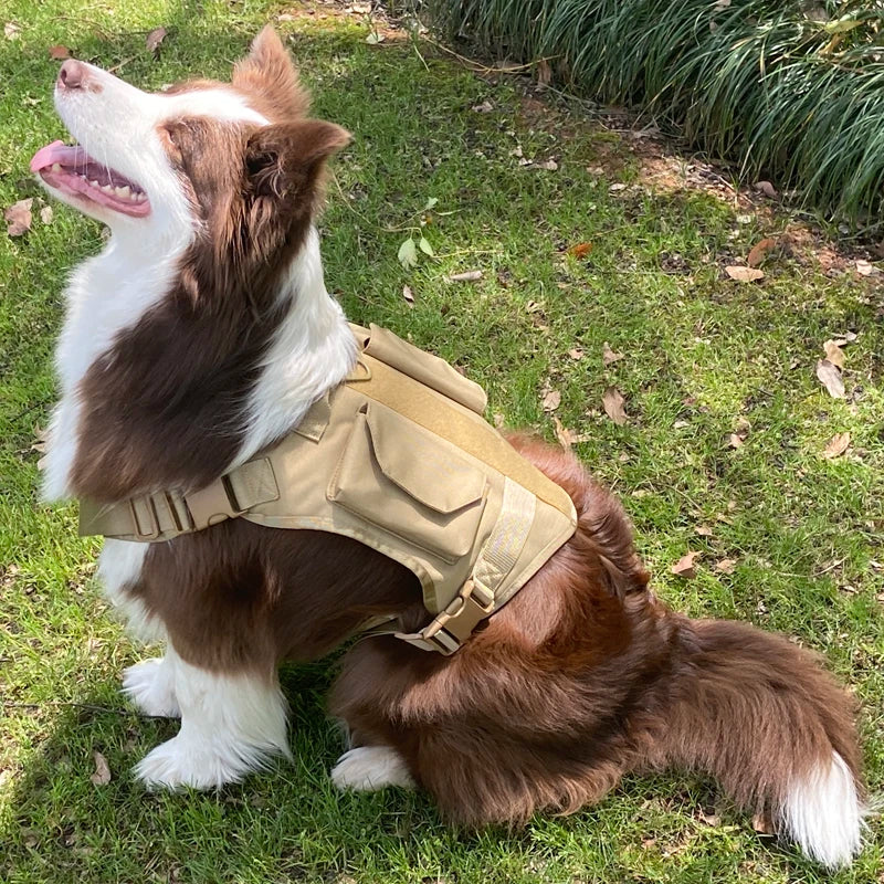 Reflective Large Dog Leash Elastic Double Pet Use Medium Cat Harness Tightness Small Cat Harness Set Tactical Vest Accessories