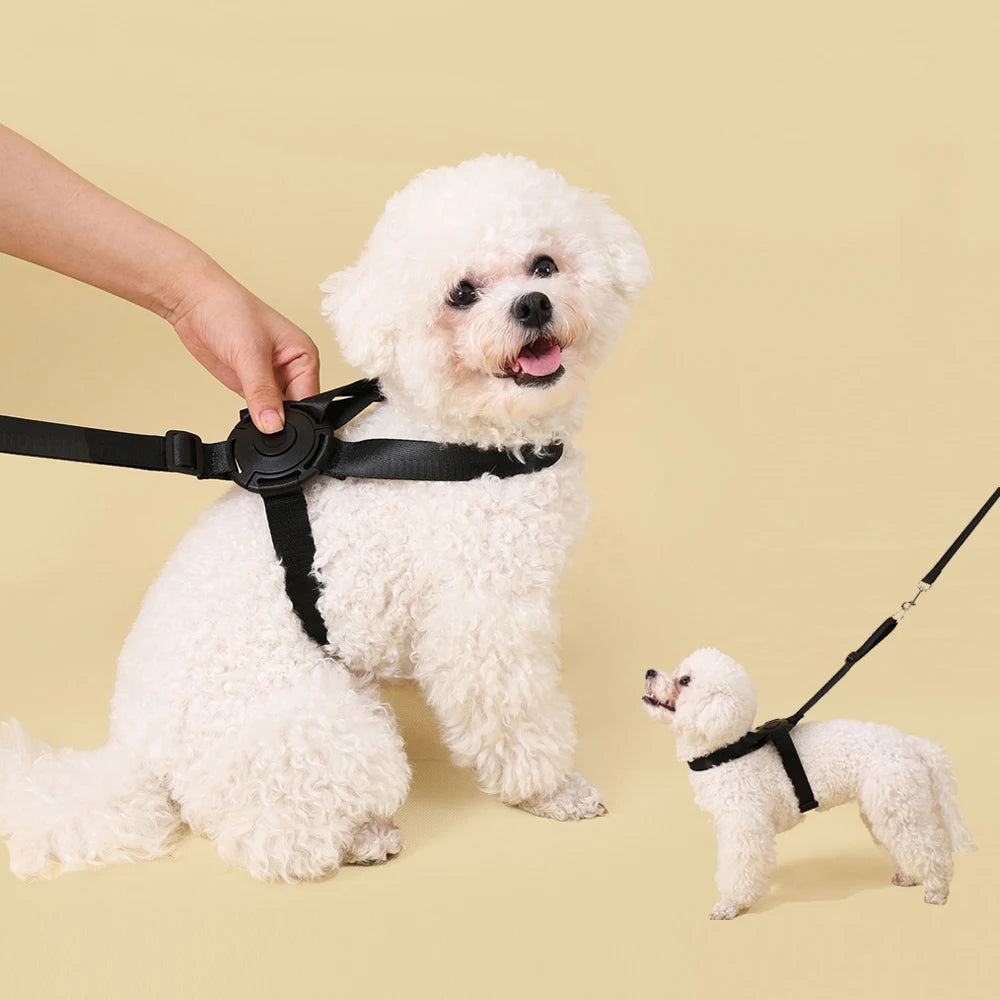 New Simple Small Dog Harness Easy Use One-click Medium Cat Harness Leash Set Escape-proof Puppy Harness Accessores