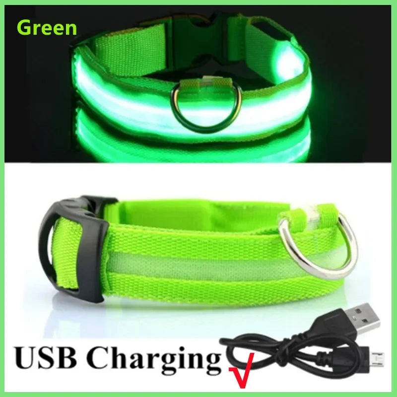 LED Light Up Dog Collar