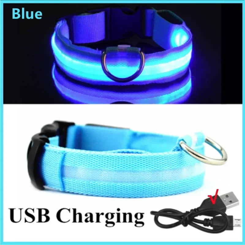 LED Light Up Dog Collar