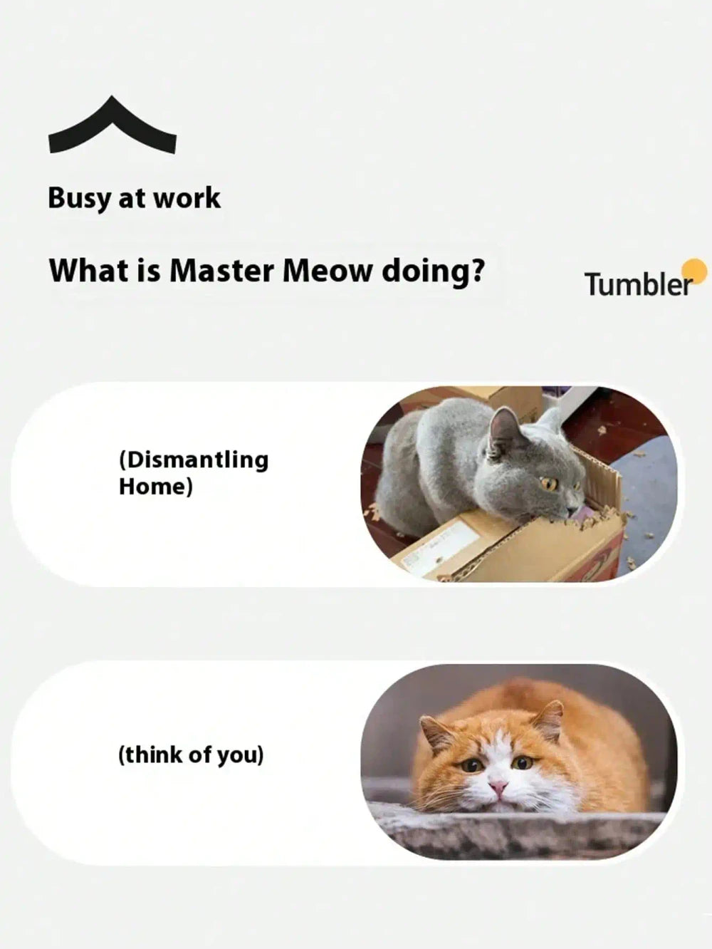 Electric Cat Hunting Toy