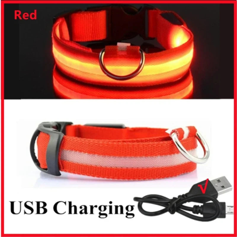 LED Light Up Dog Collar