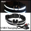 LED Light Up Dog Collar