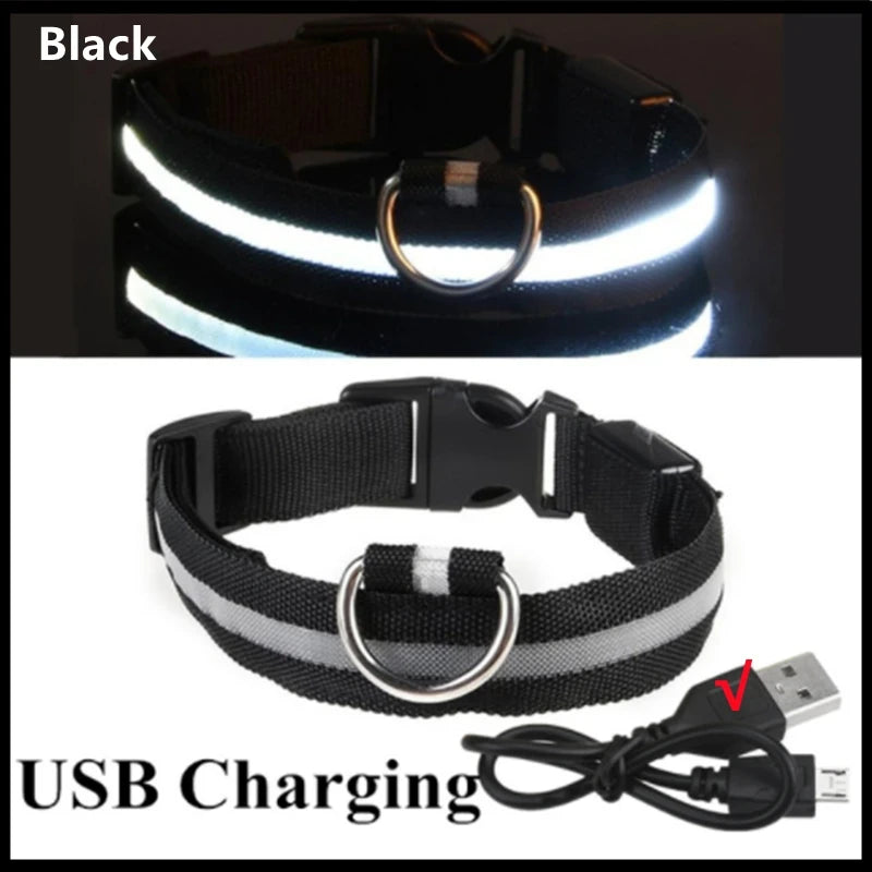 LED Light Up Dog Collar